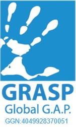 GRASP GLOBAL GAP